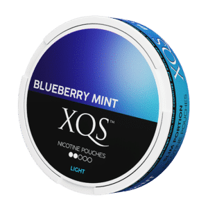 XQS Blueberry Mint Light